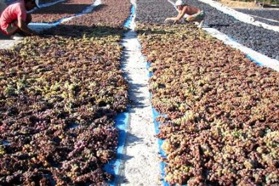The rooms of the old winery are being renovated and used as a museum to remind us of the history of wine and the art of its creation