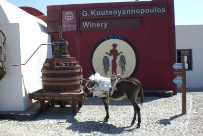 You can visit the Koutsoyannopoulos Wine Museum